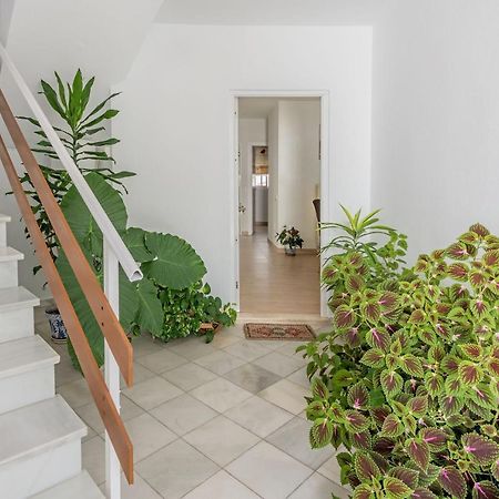 Apartamento Los Naranjos En Vejer ベヘール・デ・ラ・フロンテーラ エクステリア 写真