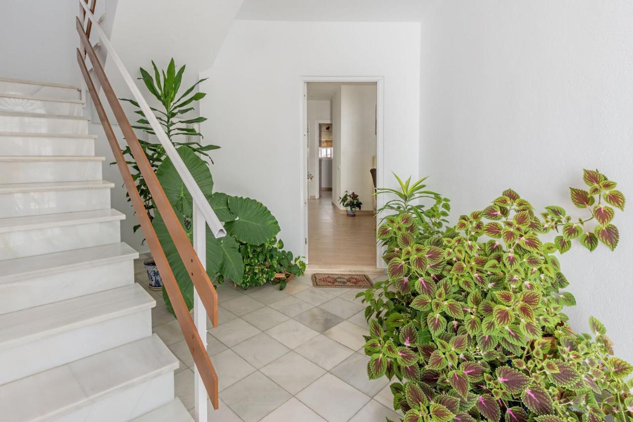 Apartamento Los Naranjos En Vejer ベヘール・デ・ラ・フロンテーラ エクステリア 写真